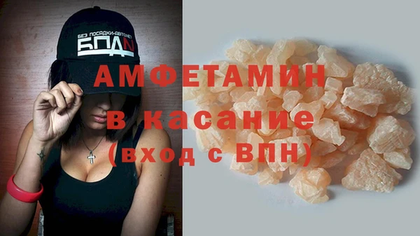 шишки Алзамай