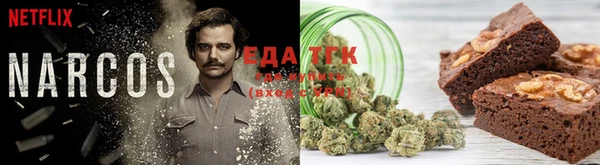 шишки Алексин