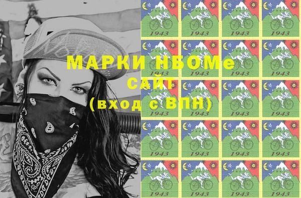 шишки Алзамай