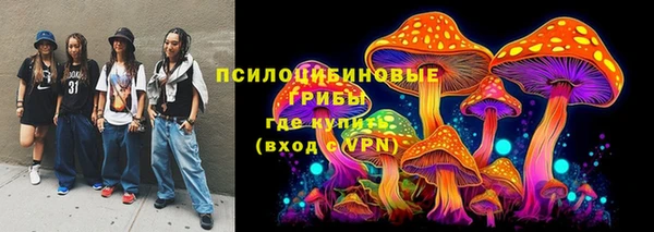 крисы Алексеевка