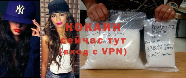 шишки Алзамай