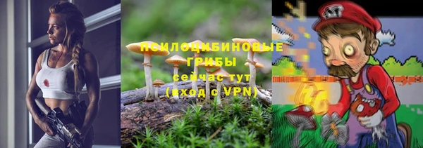 шишки Алзамай