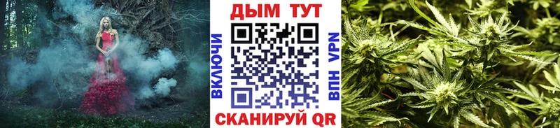 Канабис ГИДРОПОН  продажа наркотиков  Каменск-Уральский 